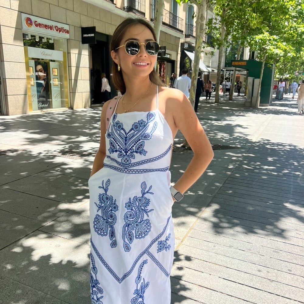 Zara Blue and White Floral Midi Dress
